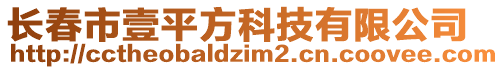 長(zhǎng)春市壹平方科技有限公司