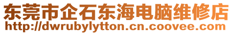 東莞市企石東海電腦維修店