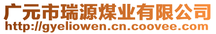 廣元市瑞源煤業(yè)有限公司