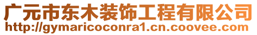 廣元市東木裝飾工程有限公司