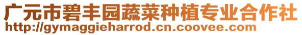 廣元市碧豐園蔬菜種植專業(yè)合作社