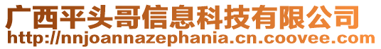 廣西平頭哥信息科技有限公司