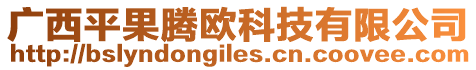 廣西平果騰歐科技有限公司