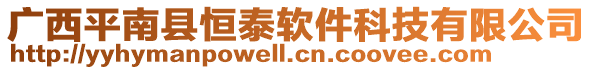 廣西平南縣恒泰軟件科技有限公司