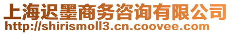 上海遲墨商務(wù)咨詢有限公司