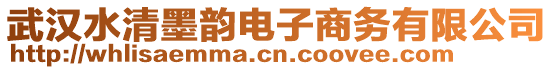 武漢水清墨韻電子商務(wù)有限公司