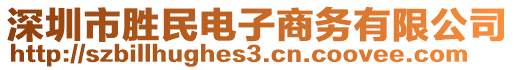 深圳市勝民電子商務(wù)有限公司