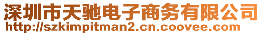 深圳市天馳電子商務(wù)有限公司