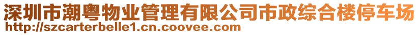 深圳市潮粵物業(yè)管理有限公司市政綜合樓停車場