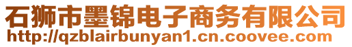 石獅市墨錦電子商務有限公司