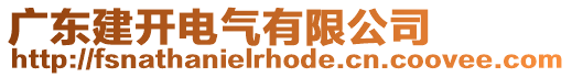 廣東建開電氣有限公司