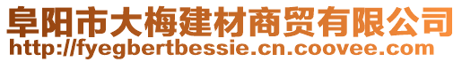 阜陽市大梅建材商貿(mào)有限公司