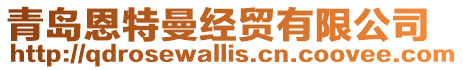 青島恩特曼經(jīng)貿(mào)有限公司