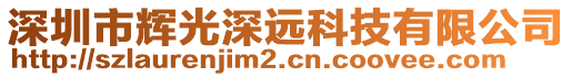 深圳市輝光深遠科技有限公司