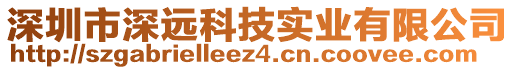 深圳市深遠科技實業(yè)有限公司