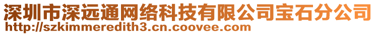 深圳市深遠通網絡科技有限公司寶石分公司