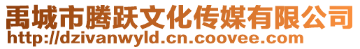 禹城市騰躍文化傳媒有限公司