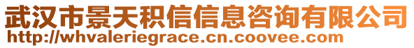 武漢市景天積信信息咨詢有限公司