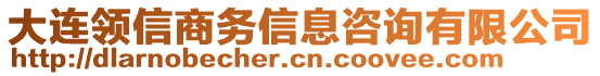 大連領(lǐng)信商務(wù)信息咨詢有限公司