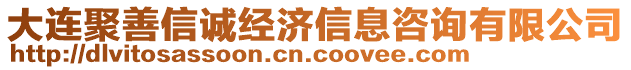 大連聚善信誠經(jīng)濟(jì)信息咨詢有限公司