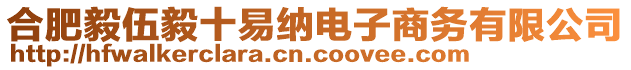 合肥毅伍毅十易納電子商務(wù)有限公司