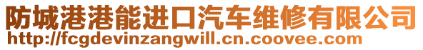 防城港港能進(jìn)口汽車維修有限公司