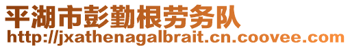 平湖市彭勤根劳务队