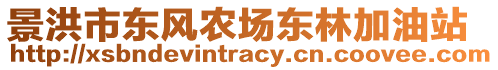 景洪市東風(fēng)農(nóng)場(chǎng)東林加油站