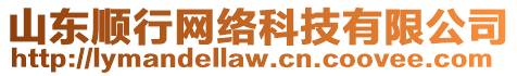 山東順行網(wǎng)絡(luò)科技有限公司