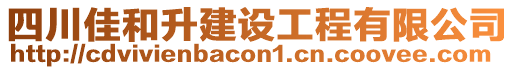 四川佳和升建設(shè)工程有限公司