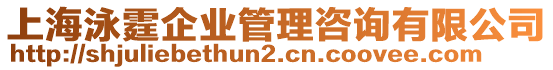 上海泳霆企業(yè)管理咨詢(xún)有限公司