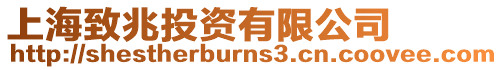 上海致兆投資有限公司