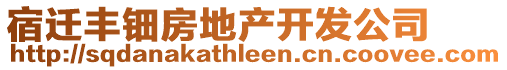 宿遷豐鈿房地產(chǎn)開發(fā)公司