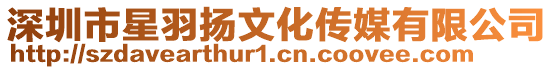 深圳市星羽揚文化傳媒有限公司