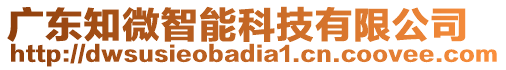 廣東知微智能科技有限公司