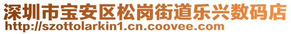 深圳市寶安區(qū)松崗街道樂興數(shù)碼店