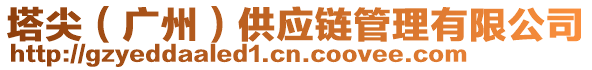 塔尖（廣州）供應(yīng)鏈管理有限公司