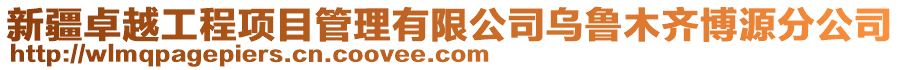 新疆卓越工程項目管理有限公司烏魯木齊博源分公司