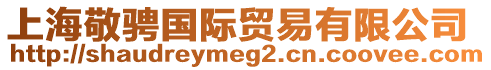 上海敬騁國(guó)際貿(mào)易有限公司