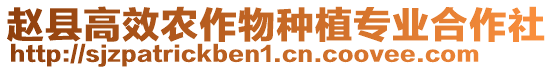 趙縣高效農作物種植專業合作社