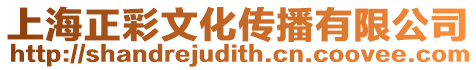 上海正彩文化傳播有限公司