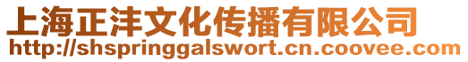 上海正灃文化傳播有限公司