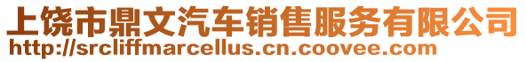 上饒市鼎文汽車銷售服務(wù)有限公司