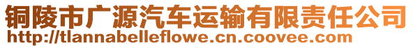 銅陵市廣源汽車(chē)運(yùn)輸有限責(zé)任公司