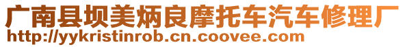 廣南縣壩美炳良摩托車汽車修理廠