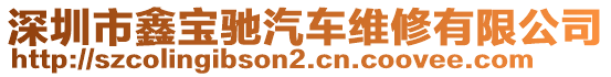 深圳市鑫寶馳汽車維修有限公司