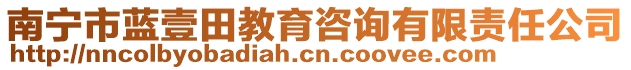 南寧市藍壹田教育咨詢有限責任公司