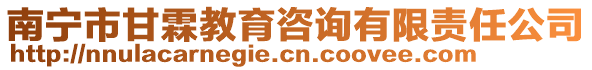 南寧市甘霖教育咨詢有限責任公司