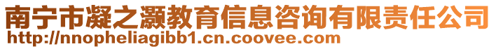 南寧市凝之灝教育信息咨詢有限責任公司