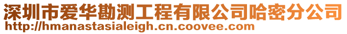 深圳市愛華勘測工程有限公司哈密分公司